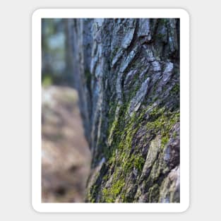 Mossy Tree Bark Sticker